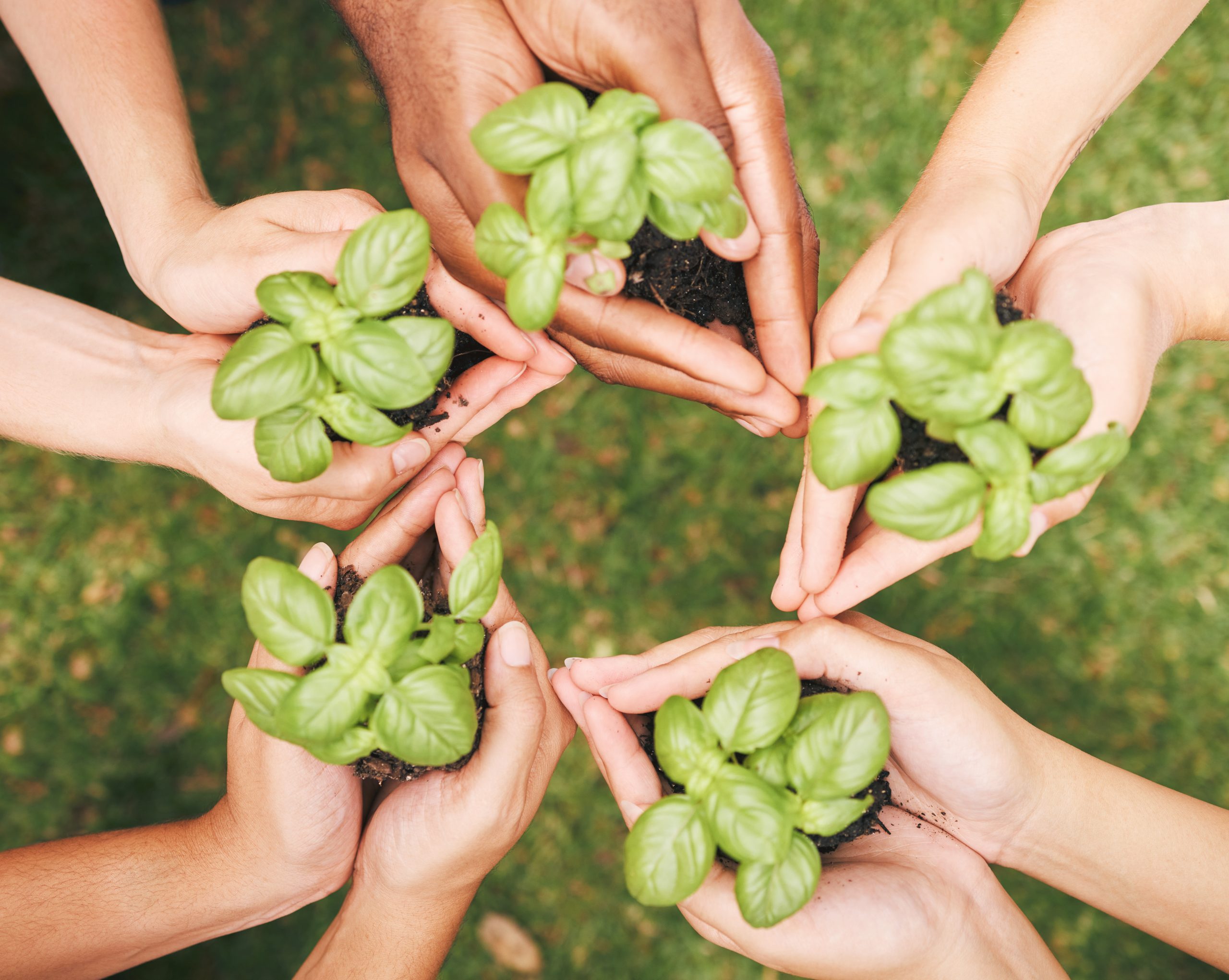 des gens qui tiennent des plantes en cercle